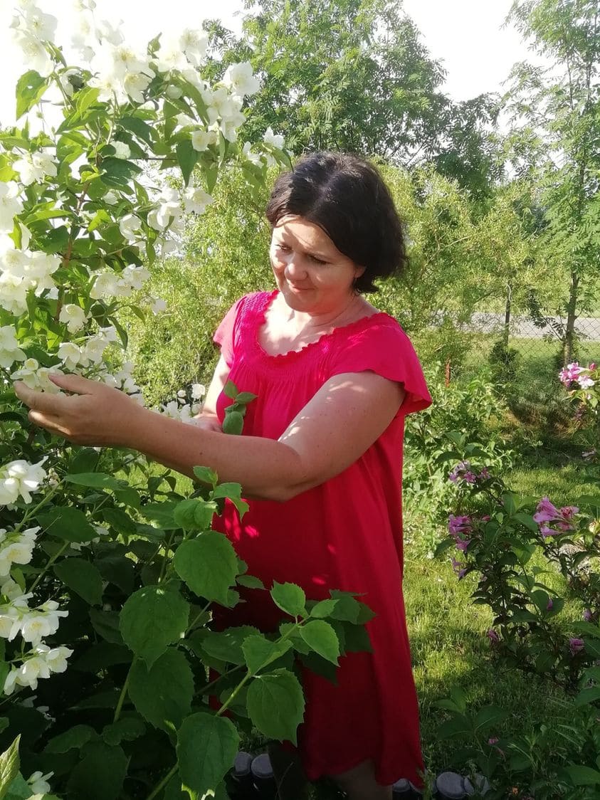 Herbatka z jaśminowca wonnego